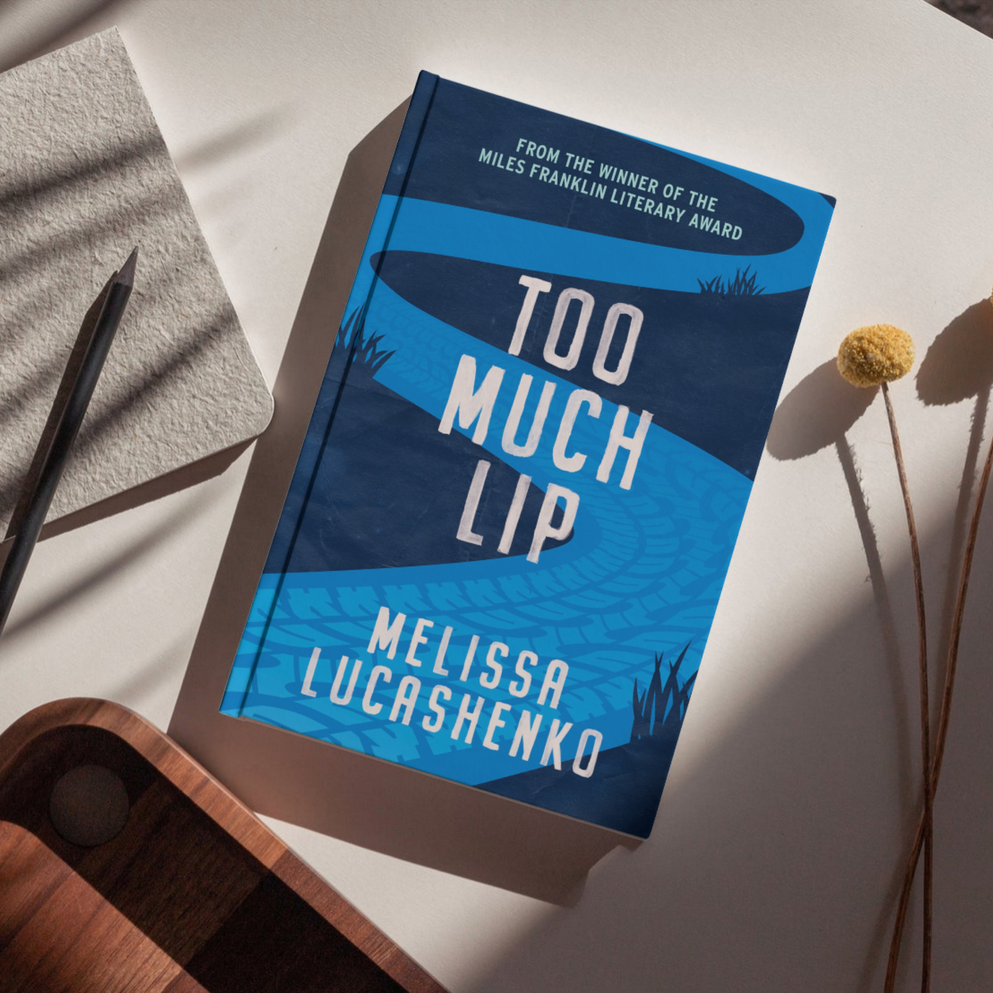 Book titled 'Too Much Lip' by Melissa Lucashenko on a surface with a pen and plant.
