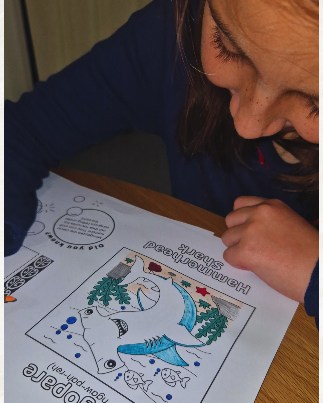 In the Moana - Bilingual Colour & Activity Book