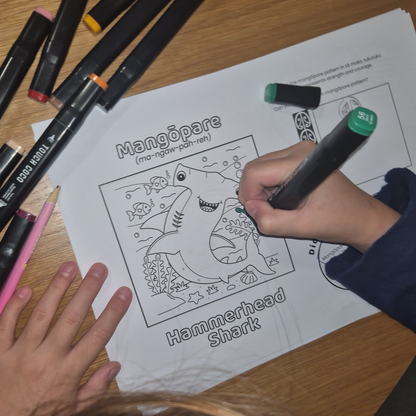 In the Moana - Bilingual Colour & Activity Book